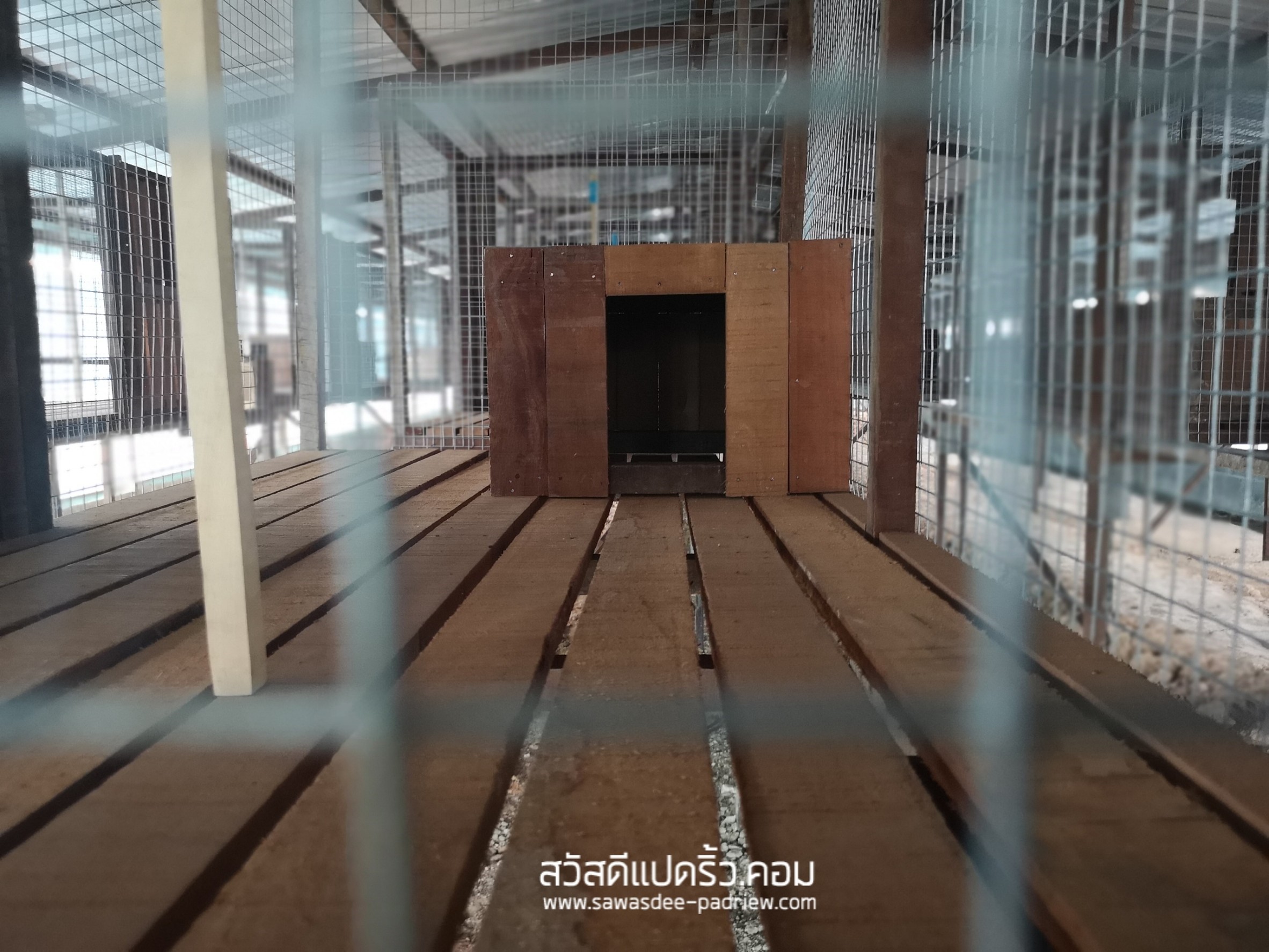 ฟาร์มชะมด