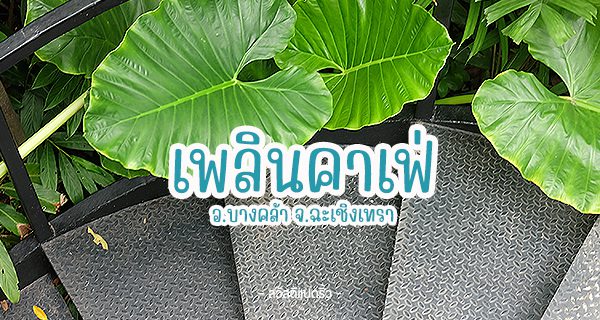 เพลินคาเฟ่ บางคล้า ฉะเชิงเทรา เพลินคาเฟ่