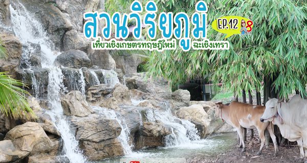 สวนวิริยภูมิ ฉะเชิงเทรา สวนวิริยภูมิ