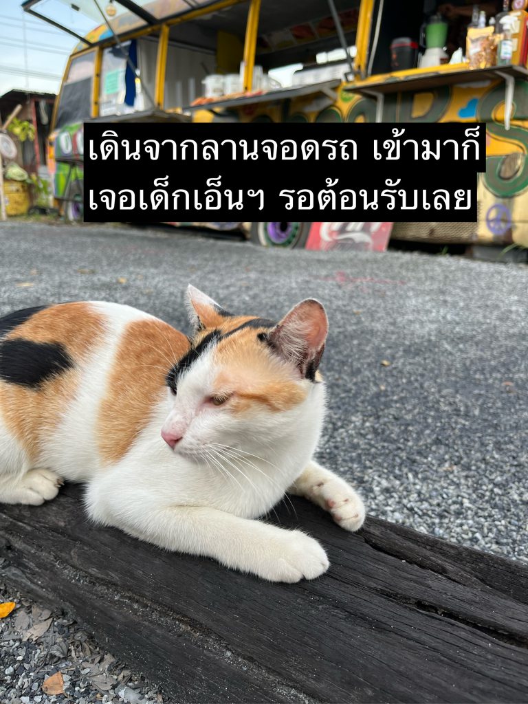 ลานกิจกรรม