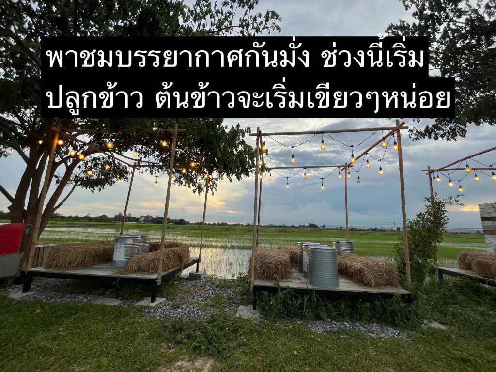 ลานกิจกรรม