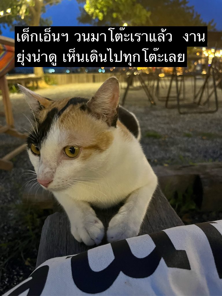 ลานกิจกรรม